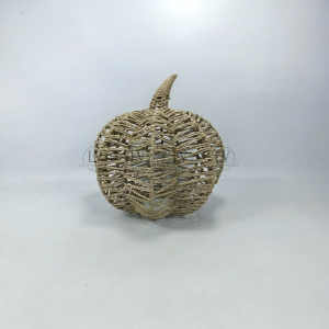 Seagrass pumpkin Autumn decor